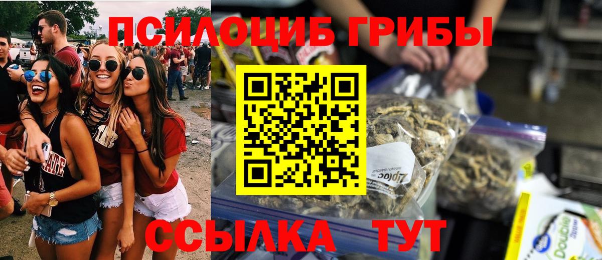 Псилоцибиновые грибы Psilocybine cubensis Ржев